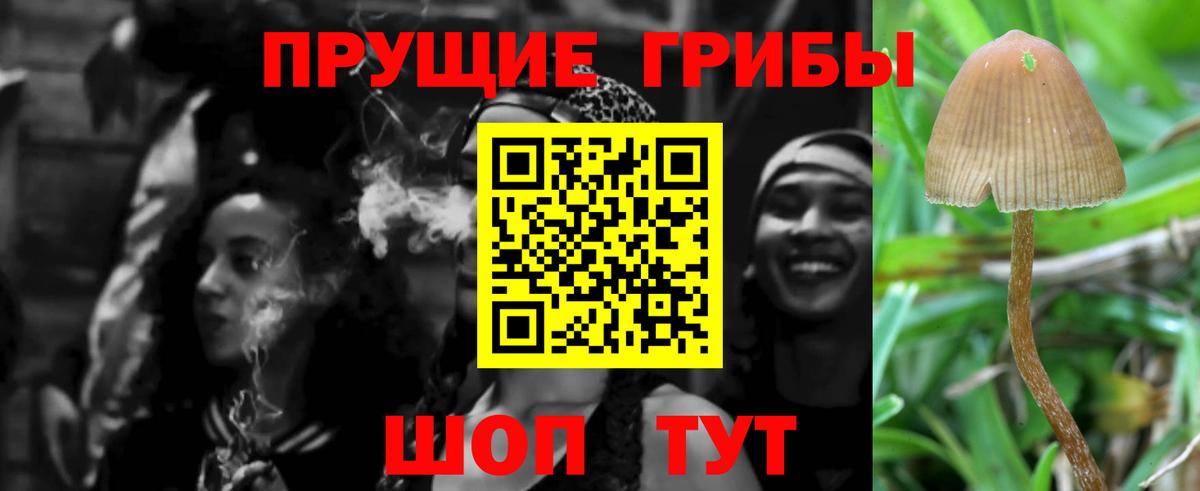 Псилоцибиновые грибы мухоморы  Вход с VPN  Кимры 